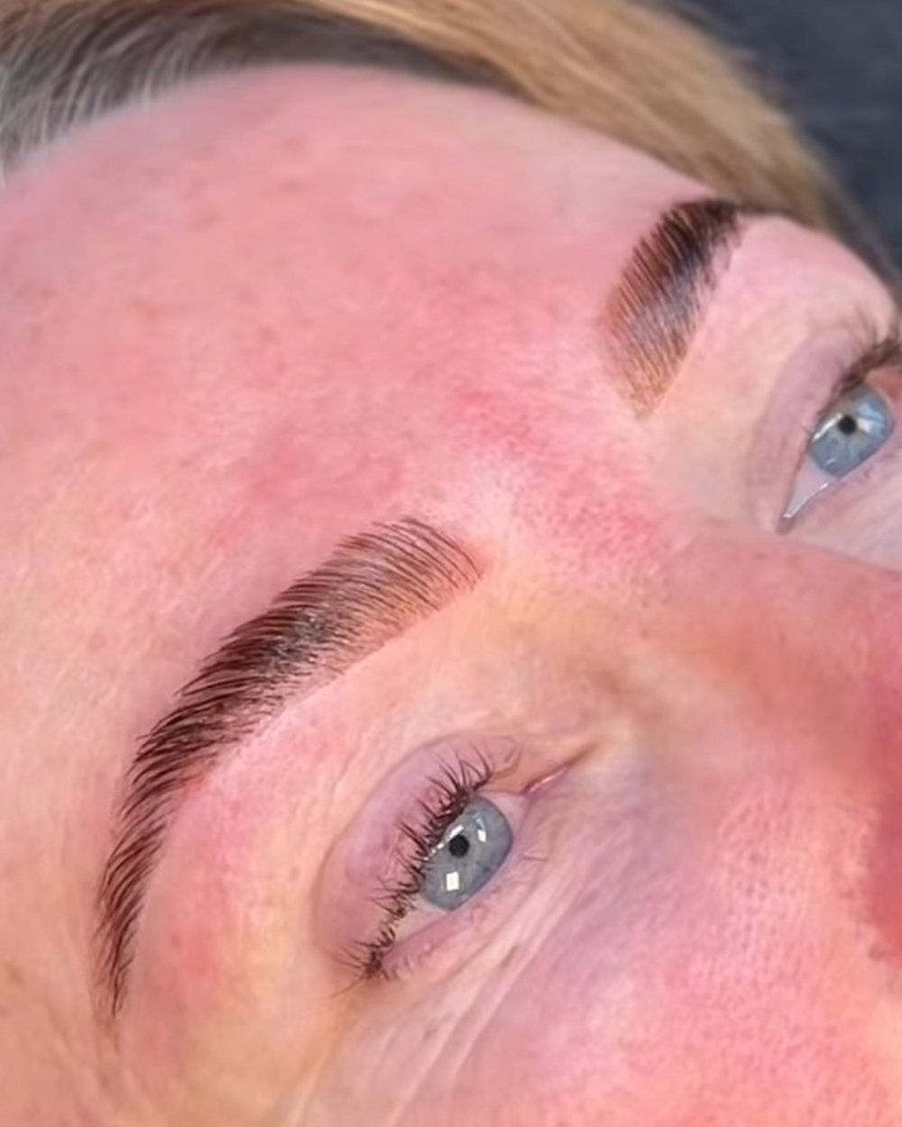 Brow lamination — full, brushed-up laminated brows, close up