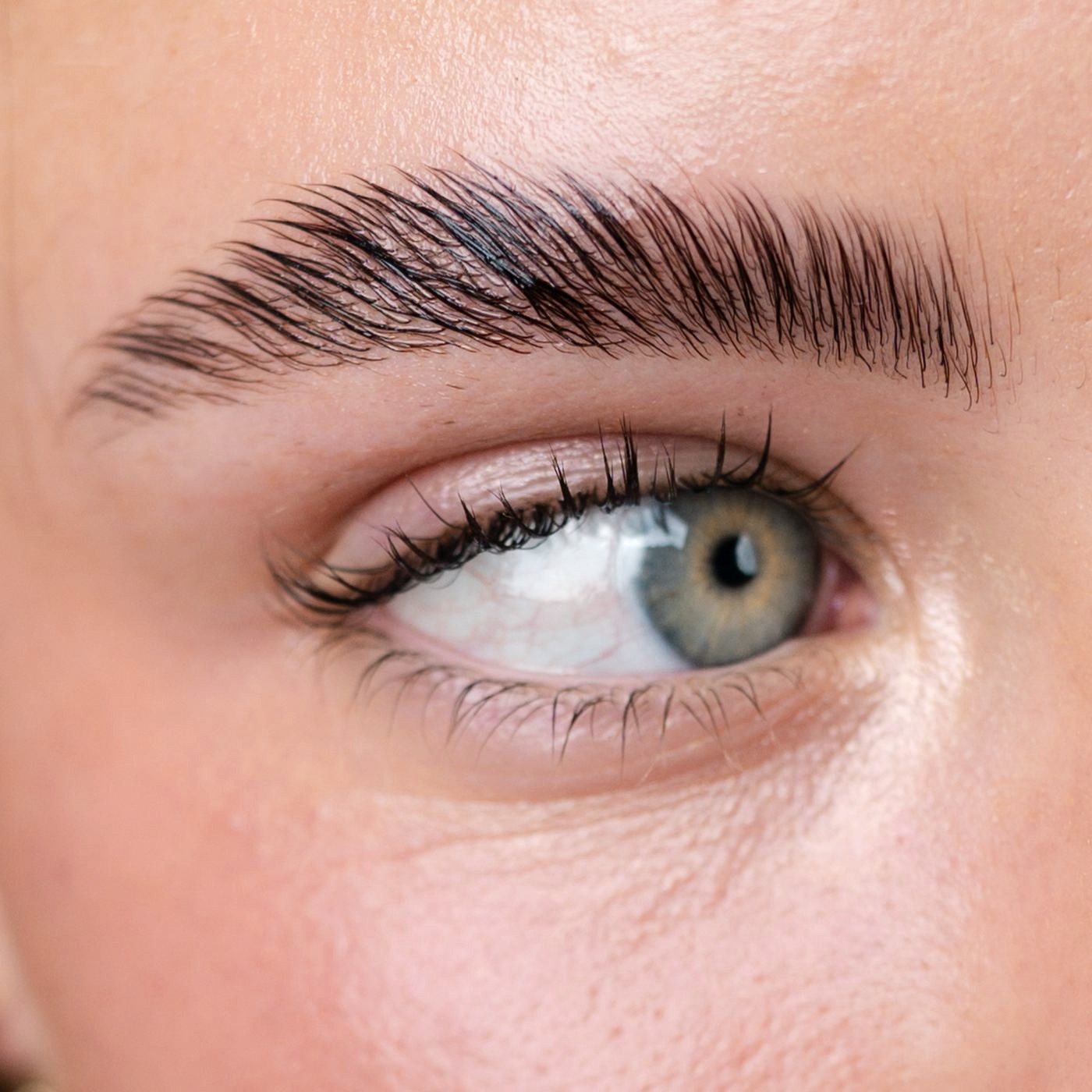 Close-up of a brushed-up, defined brow and lifted lashes